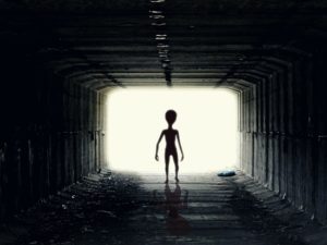 Представлены доказательства, что внешне инопланетяне похожи на людей НАУКА